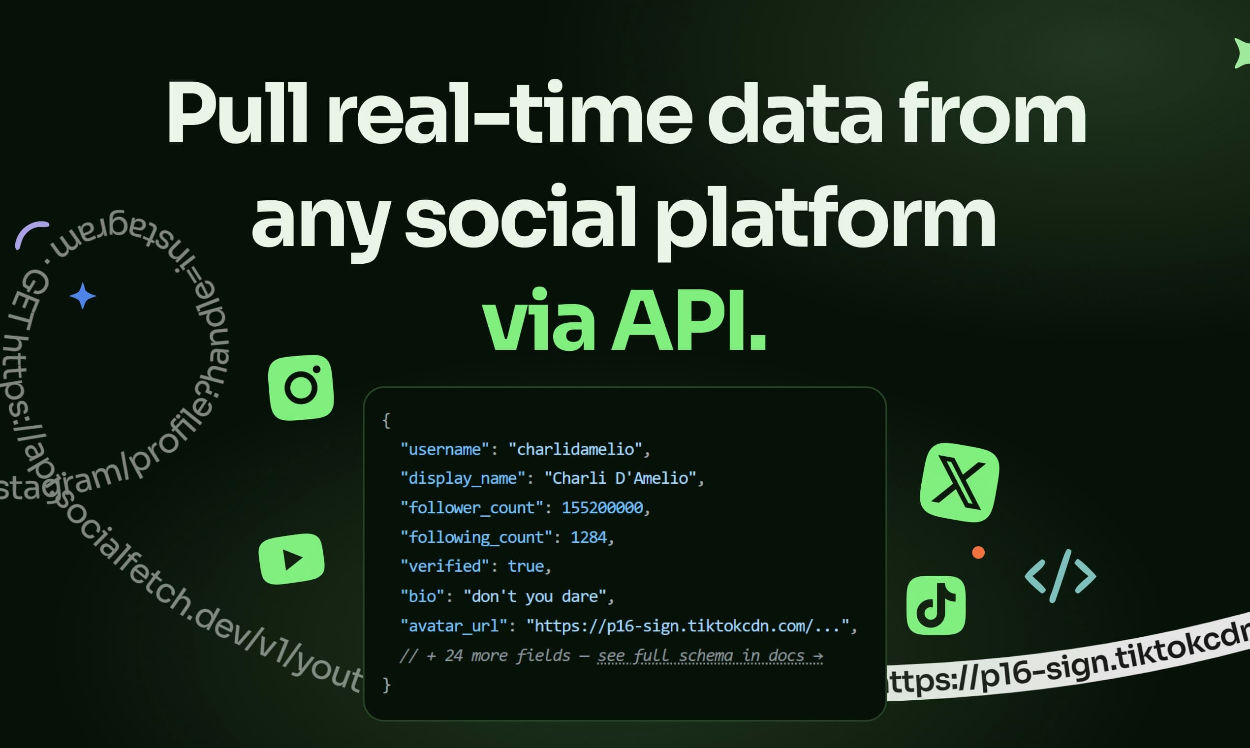 Social Fetch