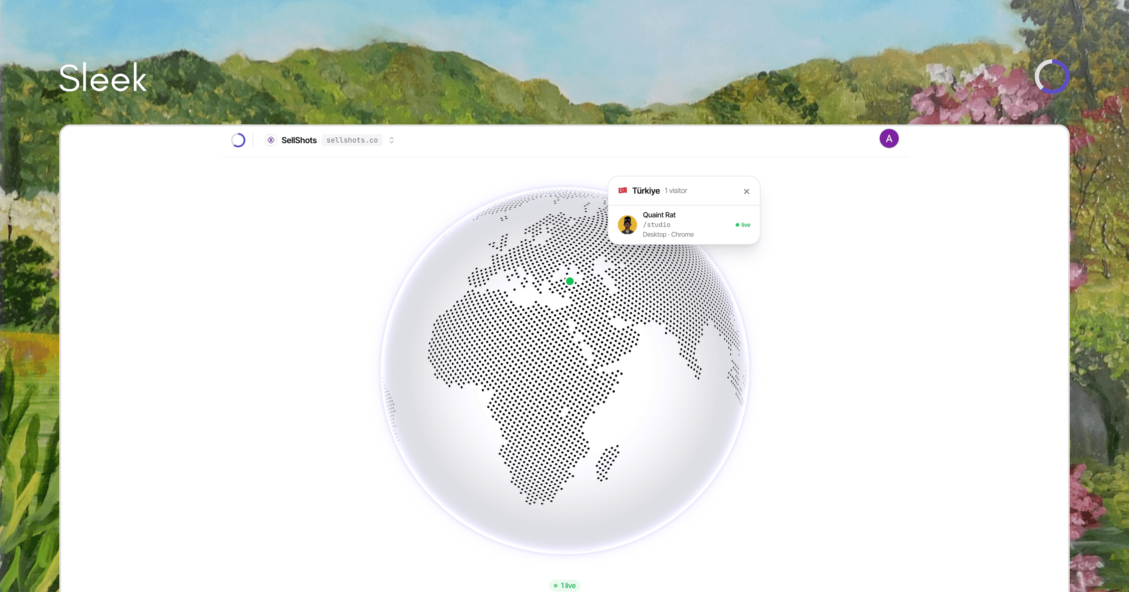 Sleek Analytics