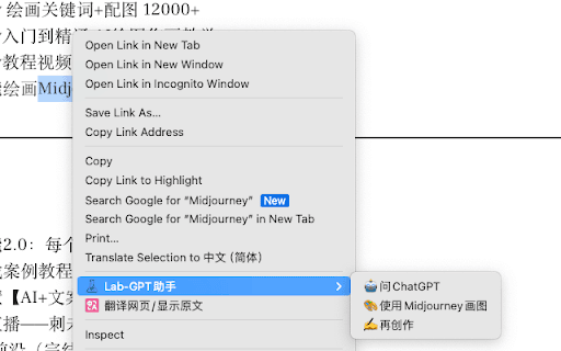 Lab-gpt助手
