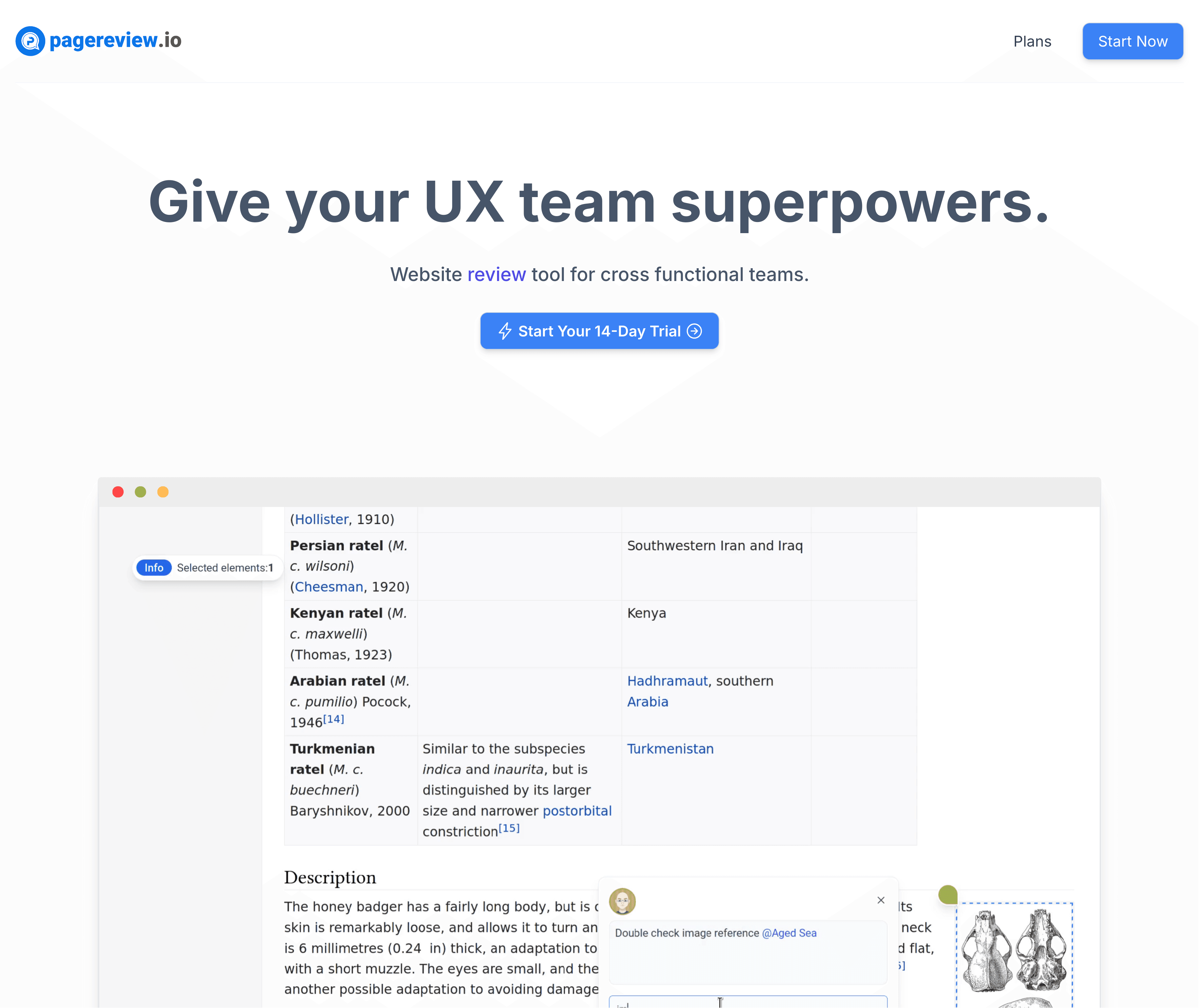 Pagereview.io