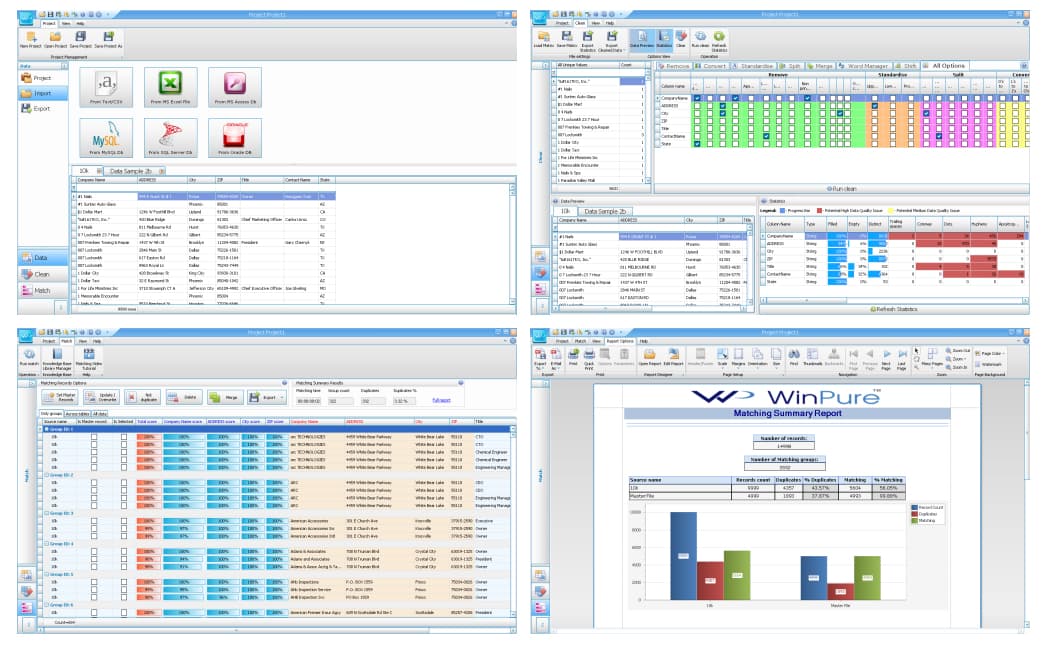 WinPure Clean & Match