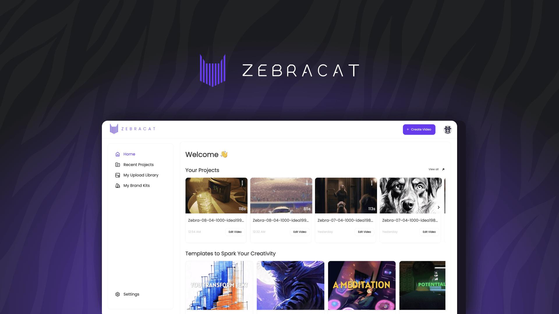 Zebracat